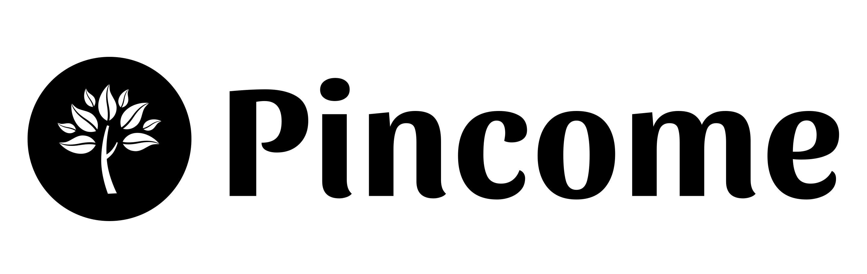 Pincome GmbH